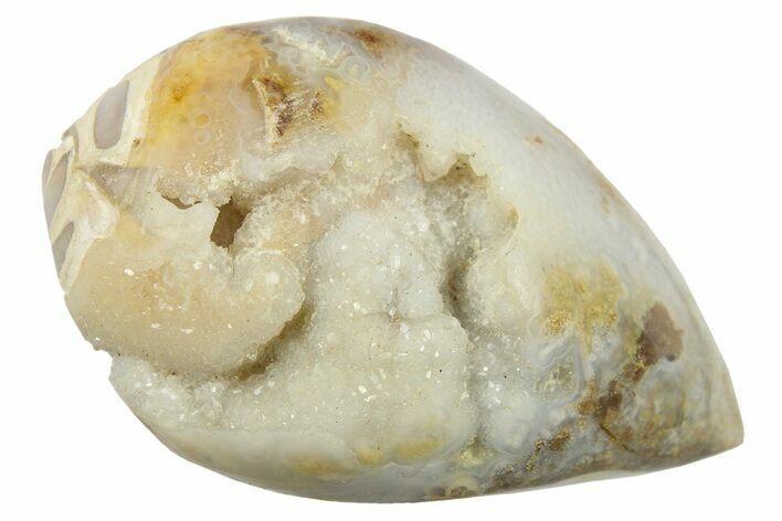 Chalcedony Replaced Gastropod With Sparkly Quartz - India #269813